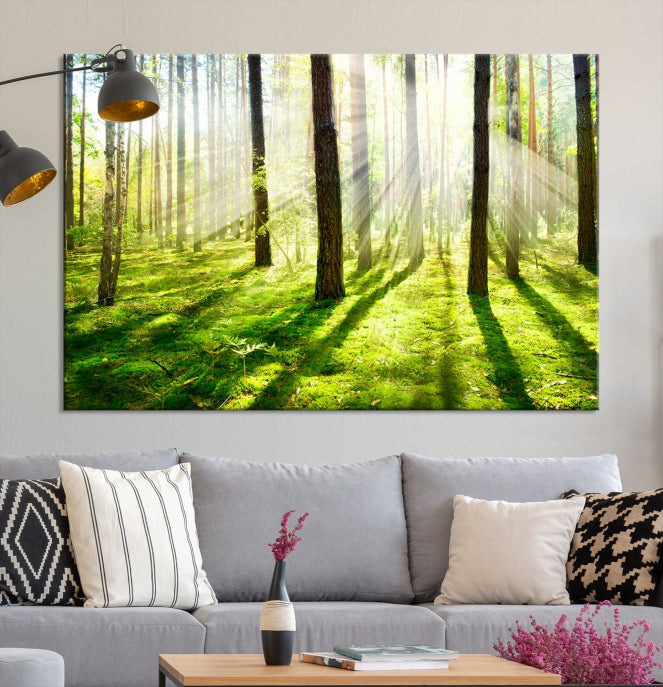 Lienzo decorativo para pared grande con bosque y sol