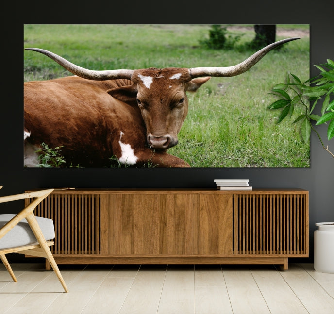 Longhorn Cow Animal Wall Art Canvas Print