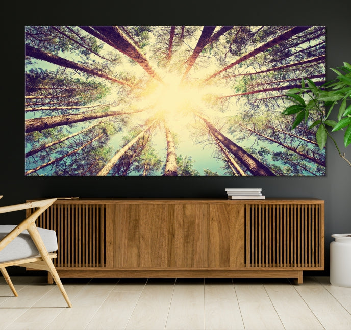 Tree and Sunshine Canvas Print