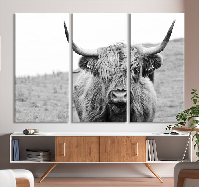 Newfoundland Cow Art Wall Art Canvas Print