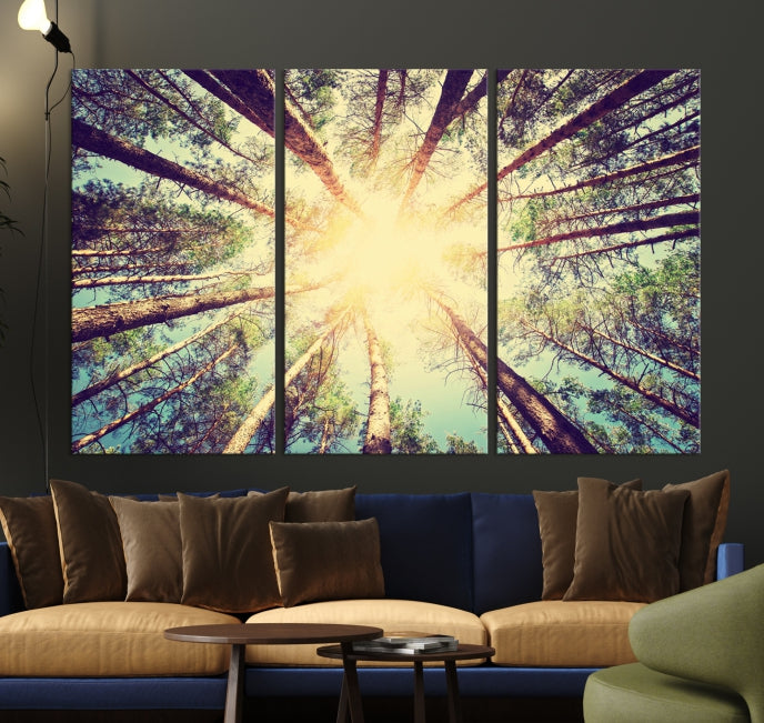 Tree and Sunshine Canvas Print