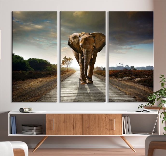 Big Wild Elephant Wall Art Canvas Print