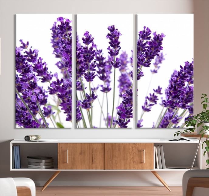 Flores de lavanda Arte de pared grande Floral Lienzo impreso