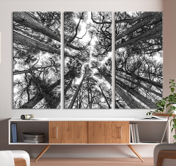 Trees Contemporary Art Canvas Print