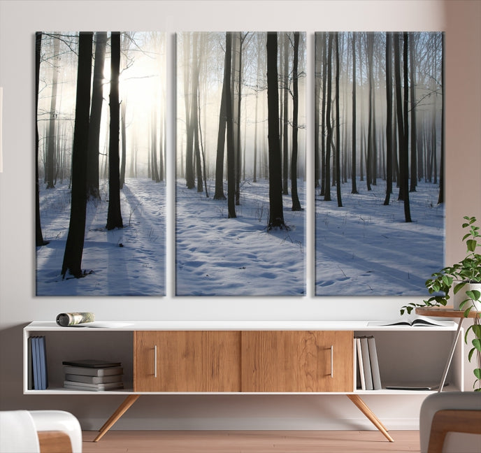 Night Forest Wall Art Canvas Print