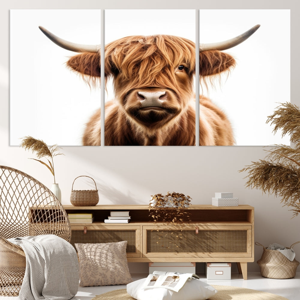 A Scottish Highland Cow Canvas Print, featuring a trio of panels depicting a long-haired, large-horned Highland cow on museum-quality canvas with UV protection, was displayed.