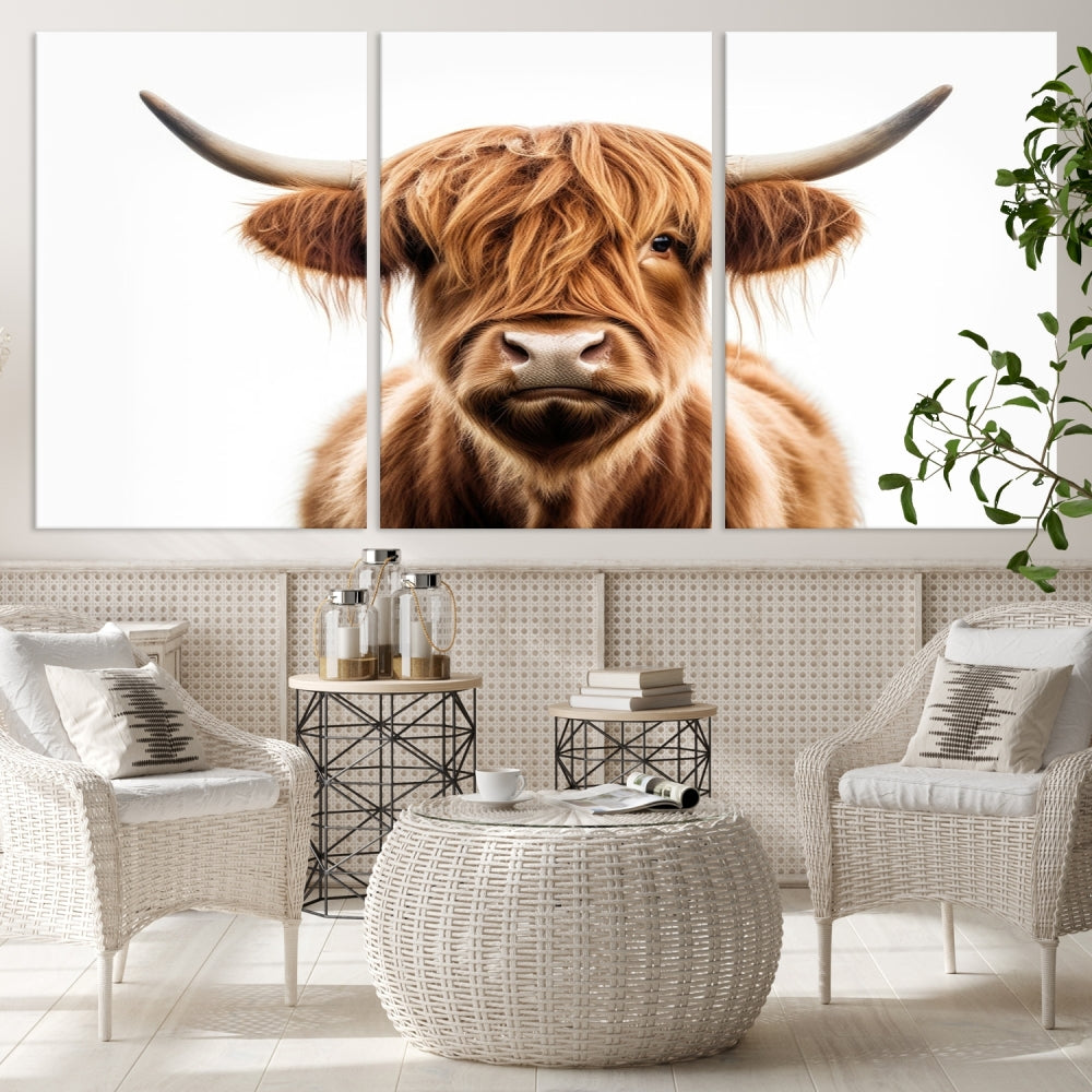 A Scottish Highland Cow Canvas Print, featuring a trio of panels depicting a long-haired, large-horned Highland cow on museum-quality canvas with UV protection, was displayed.