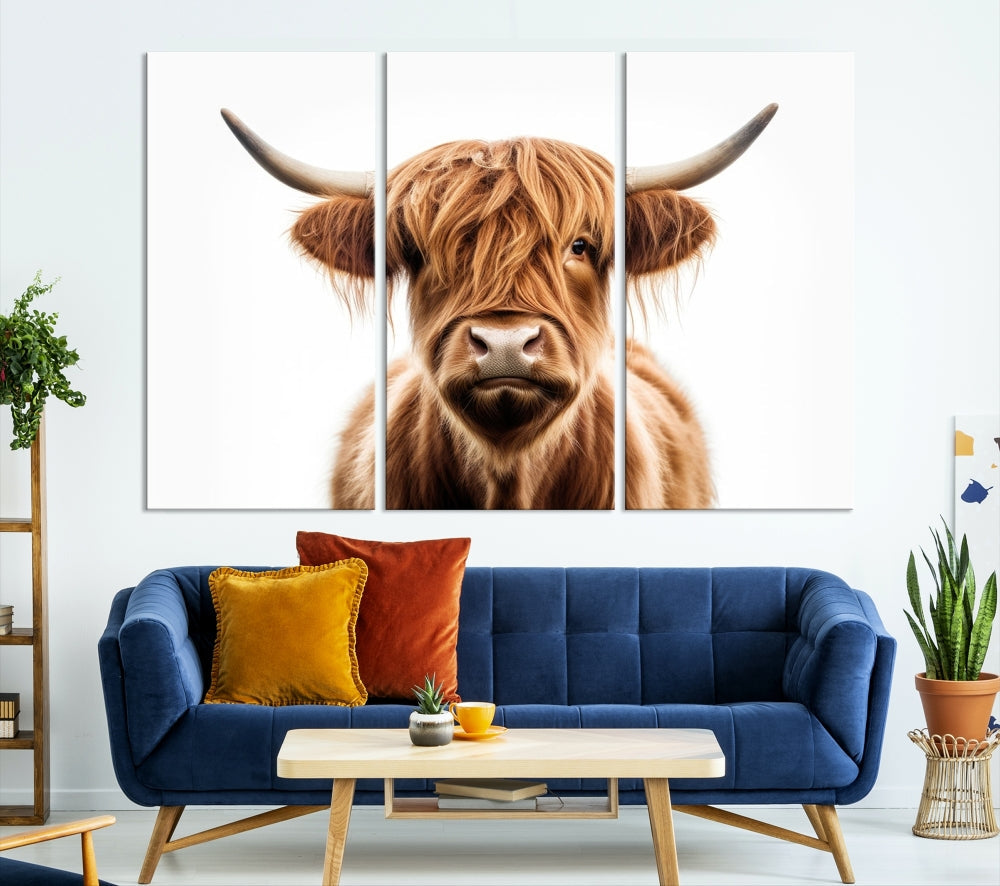 A Scottish Highland Cow Canvas Print, featuring a trio of panels depicting a long-haired, large-horned Highland cow on museum-quality canvas with UV protection, was displayed.