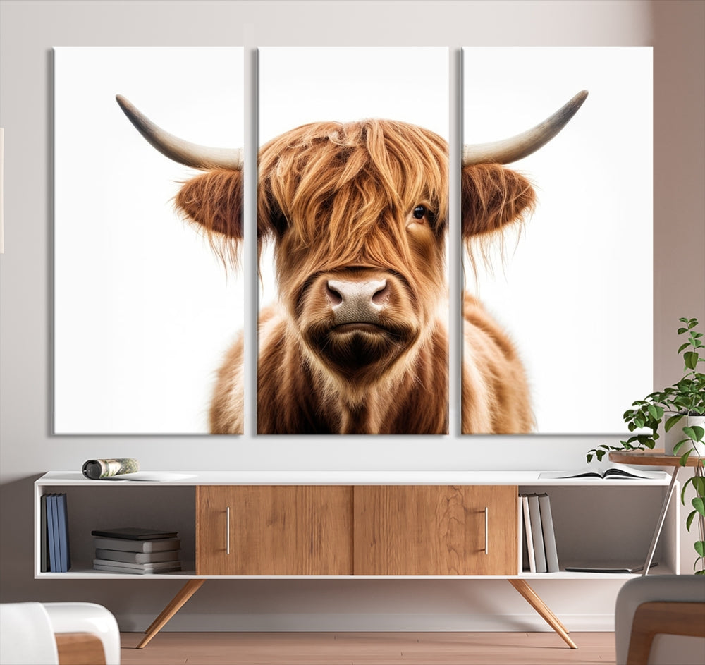 A Scottish Highland Cow Canvas Print, featuring a trio of panels depicting a long-haired, large-horned Highland cow on museum-quality canvas with UV protection, was displayed.