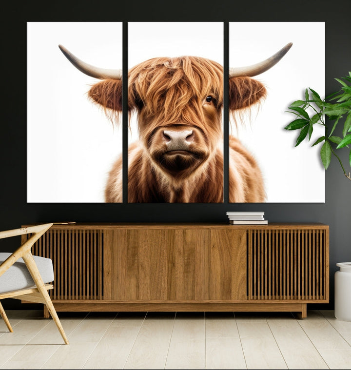 A Scottish Highland Cow Canvas Print, featuring a trio of panels depicting a long-haired, large-horned Highland cow on museum-quality canvas with UV protection, was displayed.