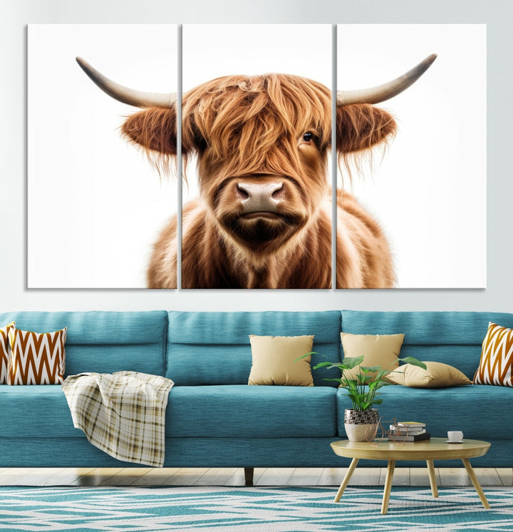 A Scottish Highland Cow Canvas Print, featuring a trio of panels depicting a long-haired, large-horned Highland cow on museum-quality canvas with UV protection, was displayed.