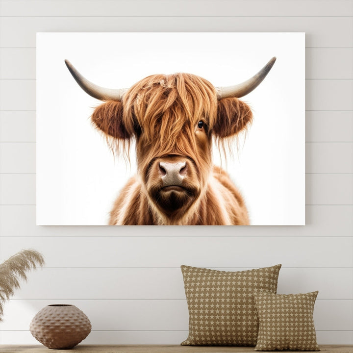 A Scottish Highland Cow Canvas Print, featuring a trio of panels depicting a long-haired, large-horned Highland cow on museum-quality canvas with UV protection, was displayed.