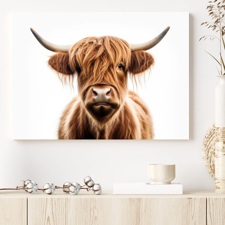 A Scottish Highland Cow Canvas Print, featuring a trio of panels depicting a long-haired, large-horned Highland cow on museum-quality canvas with UV protection, was displayed.