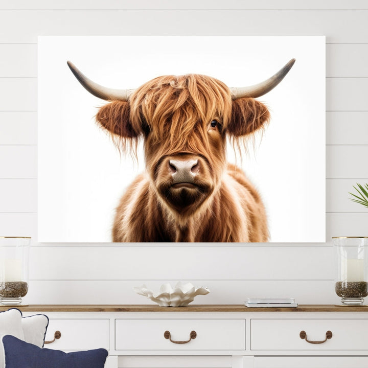 A Scottish Highland Cow Canvas Print, featuring a trio of panels depicting a long-haired, large-horned Highland cow on museum-quality canvas with UV protection, was displayed.