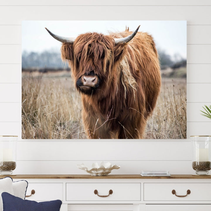 The modern farmhouse aesthetic comes to life with the Scottish Highland Cow Canvas Wall Art, featuring rustic charm and a breathtaking depiction of highland cattle in a natural setting.