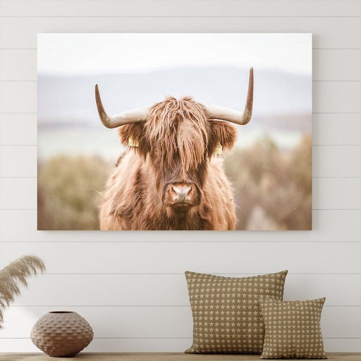 Canvas wall art featuring a Highland cow with long, shaggy fur in natural pastel tones, ready to hang.