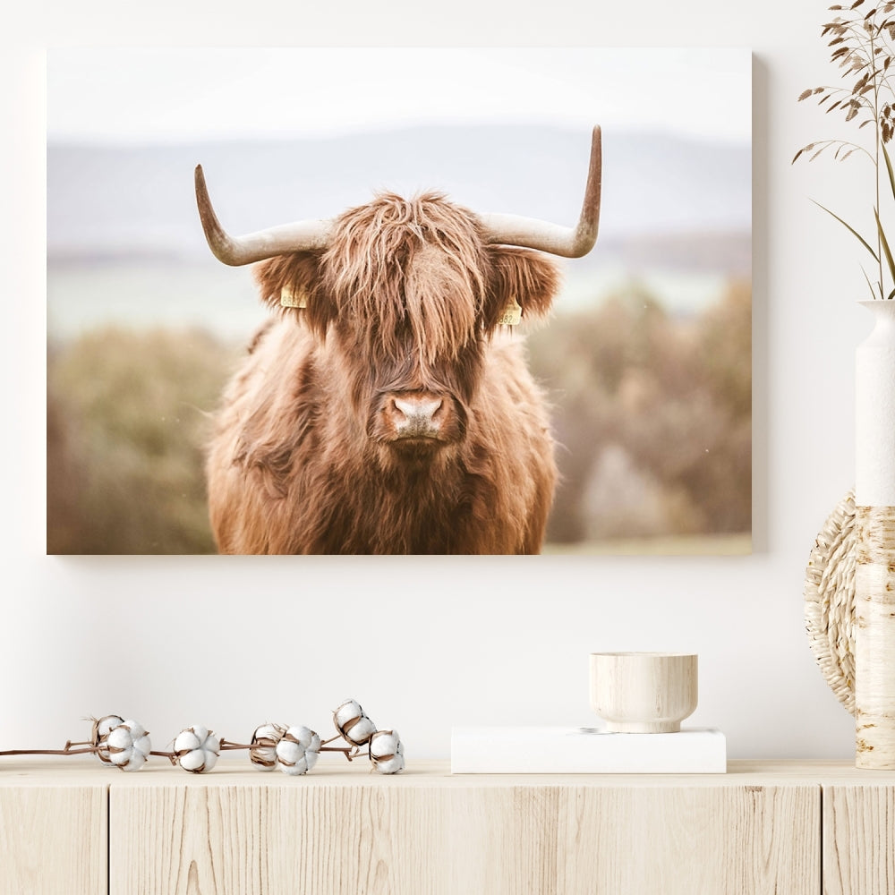 Canvas wall art featuring a Highland cow with long, shaggy fur in natural pastel tones, ready to hang.