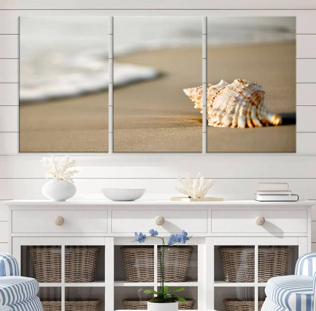 The triptych artwork titled "Sea Shell on the Beach Canvas Wall Art Beach Canvas Print" showcases a seashell on a sandy beach with ocean waves in the background, creating a stunning piece of coastal wall decor.