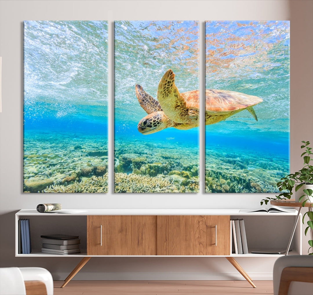 The "Sea Turtle Wall Art Canvas Print" features an enchanting scene of a sea turtle swimming underwater over coral. Crafted on museum-quality canvas with a UV-protective coating, this piece combines elegance and durability. Enjoy free shipping with your purchase.