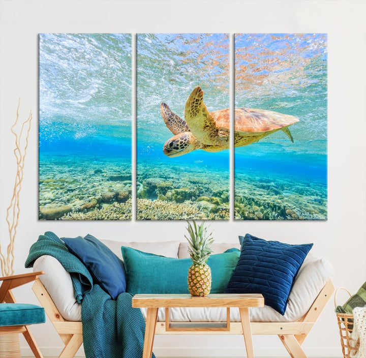 The "Sea Turtle Wall Art Canvas Print" features an enchanting scene of a sea turtle swimming underwater over coral. Crafted on museum-quality canvas with a UV-protective coating, this piece combines elegance and durability. Enjoy free shipping with your purchase.