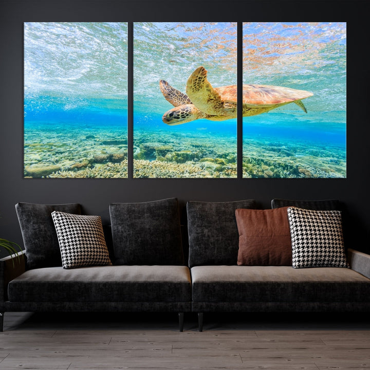 The "Sea Turtle Wall Art Canvas Print" features an enchanting scene of a sea turtle swimming underwater over coral. Crafted on museum-quality canvas with a UV-protective coating, this piece combines elegance and durability. Enjoy free shipping with your purchase.