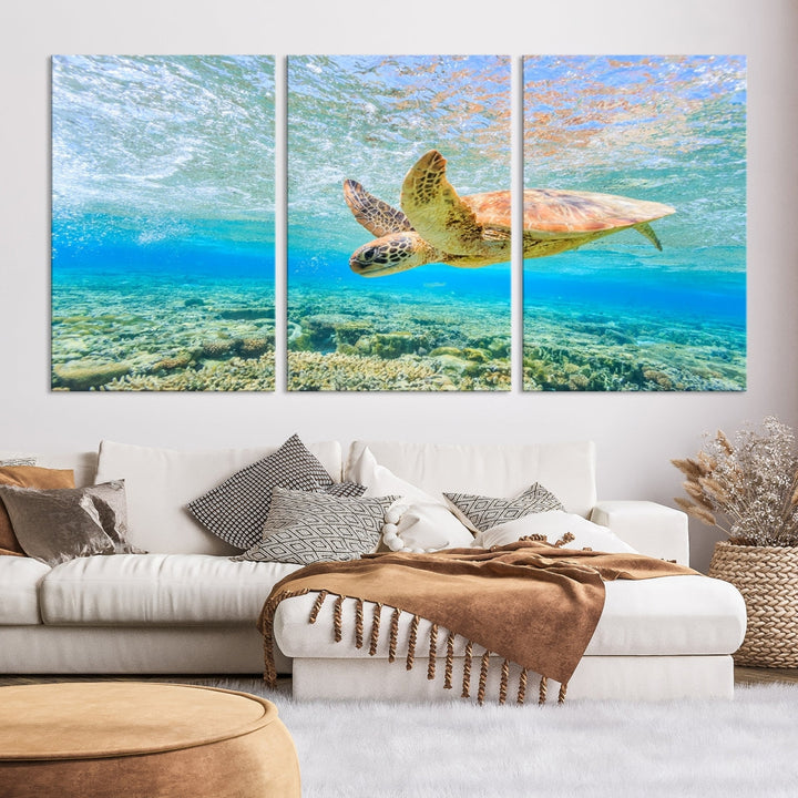 The "Sea Turtle Wall Art Canvas Print" features an enchanting scene of a sea turtle swimming underwater over coral. Crafted on museum-quality canvas with a UV-protective coating, this piece combines elegance and durability. Enjoy free shipping with your purchase.