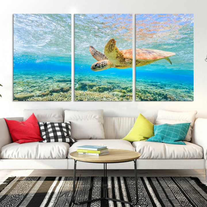 The "Sea Turtle Wall Art Canvas Print" features an enchanting scene of a sea turtle swimming underwater over coral. Crafted on museum-quality canvas with a UV-protective coating, this piece combines elegance and durability. Enjoy free shipping with your purchase.