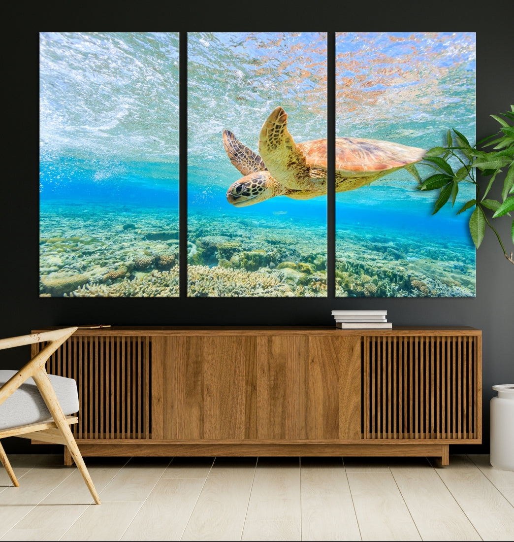 The "Sea Turtle Wall Art Canvas Print" features an enchanting scene of a sea turtle swimming underwater over coral. Crafted on museum-quality canvas with a UV-protective coating, this piece combines elegance and durability. Enjoy free shipping with your purchase.