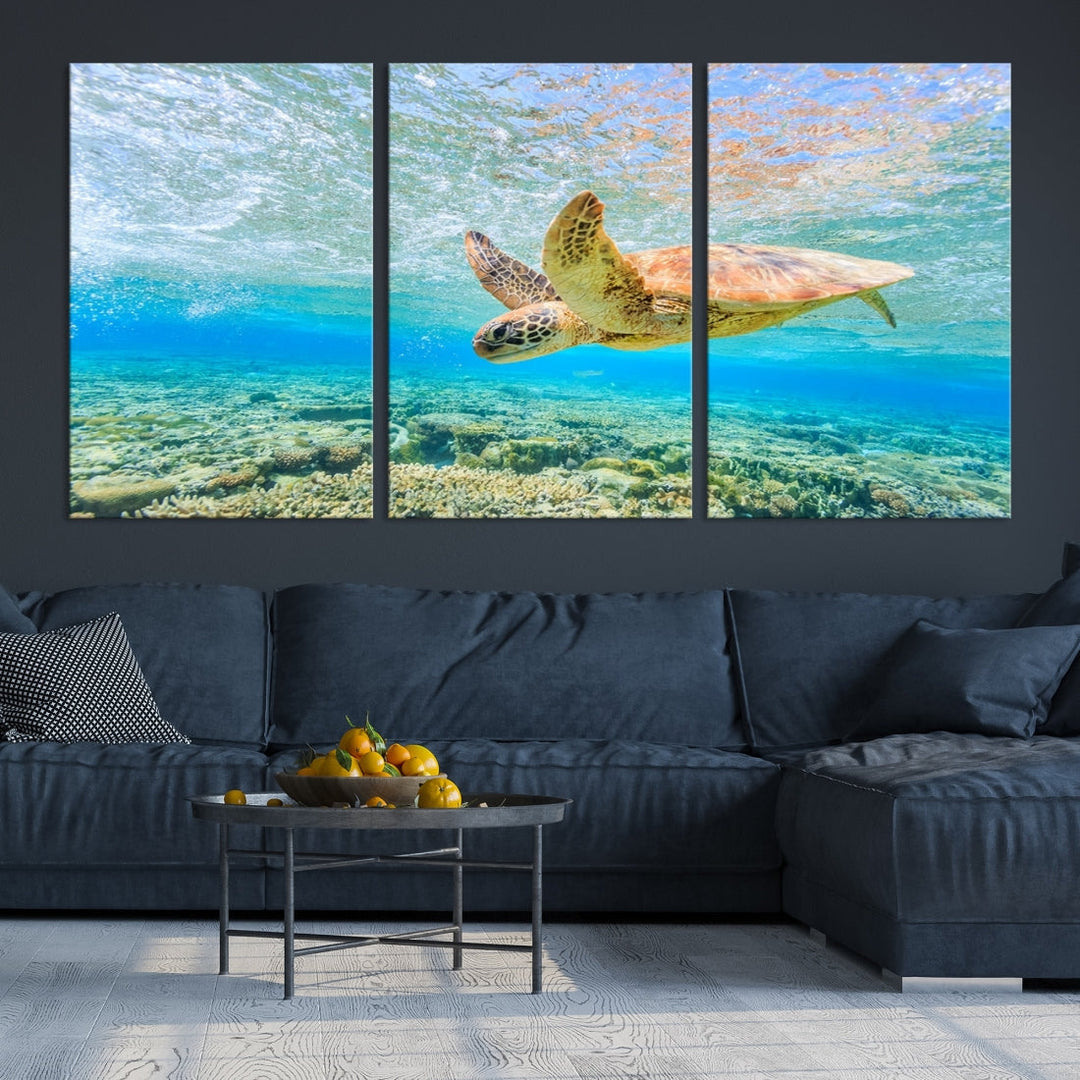 The "Sea Turtle Wall Art Canvas Print" features an enchanting scene of a sea turtle swimming underwater over coral. Crafted on museum-quality canvas with a UV-protective coating, this piece combines elegance and durability. Enjoy free shipping with your purchase.