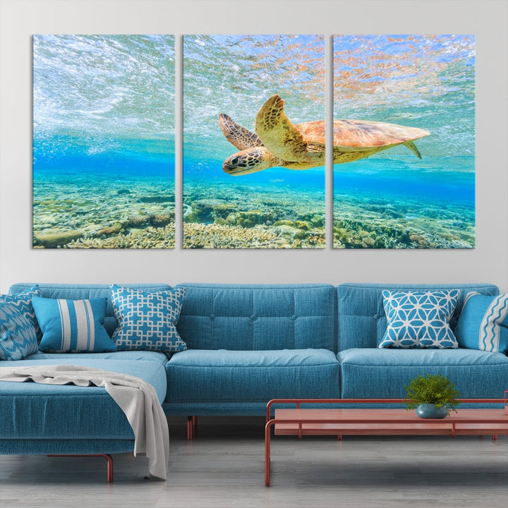 The "Sea Turtle Wall Art Canvas Print" features an enchanting scene of a sea turtle swimming underwater over coral. Crafted on museum-quality canvas with a UV-protective coating, this piece combines elegance and durability. Enjoy free shipping with your purchase.