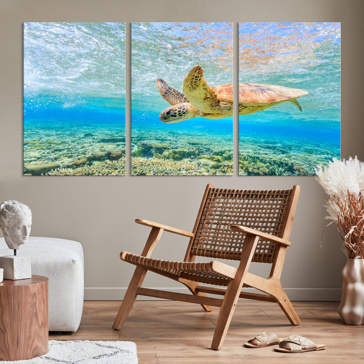 The "Sea Turtle Wall Art Canvas Print" features an enchanting scene of a sea turtle swimming underwater over coral. Crafted on museum-quality canvas with a UV-protective coating, this piece combines elegance and durability. Enjoy free shipping with your purchase.