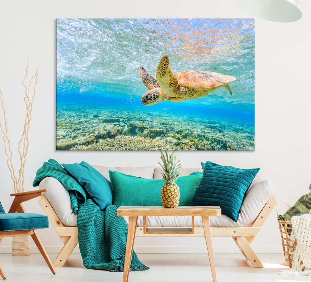 The "Sea Turtle Wall Art Canvas Print" features an enchanting scene of a sea turtle swimming underwater over coral. Crafted on museum-quality canvas with a UV-protective coating, this piece combines elegance and durability. Enjoy free shipping with your purchase.