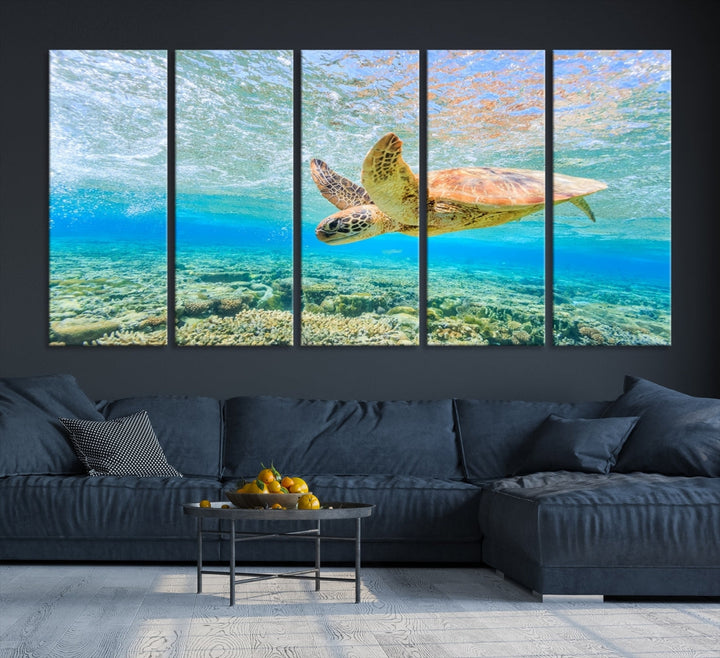 The "Sea Turtle Wall Art Canvas Print" features an enchanting scene of a sea turtle swimming underwater over coral. Crafted on museum-quality canvas with a UV-protective coating, this piece combines elegance and durability. Enjoy free shipping with your purchase.