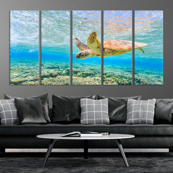 The "Sea Turtle Wall Art Canvas Print" features an enchanting scene of a sea turtle swimming underwater over coral. Crafted on museum-quality canvas with a UV-protective coating, this piece combines elegance and durability. Enjoy free shipping with your purchase.