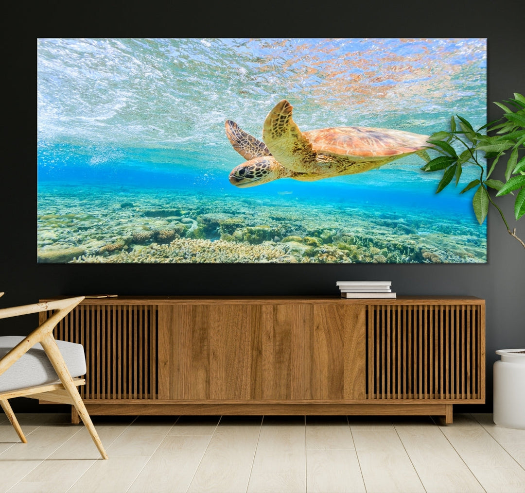 The "Sea Turtle Wall Art Canvas Print" features an enchanting scene of a sea turtle swimming underwater over coral. Crafted on museum-quality canvas with a UV-protective coating, this piece combines elegance and durability. Enjoy free shipping with your purchase.