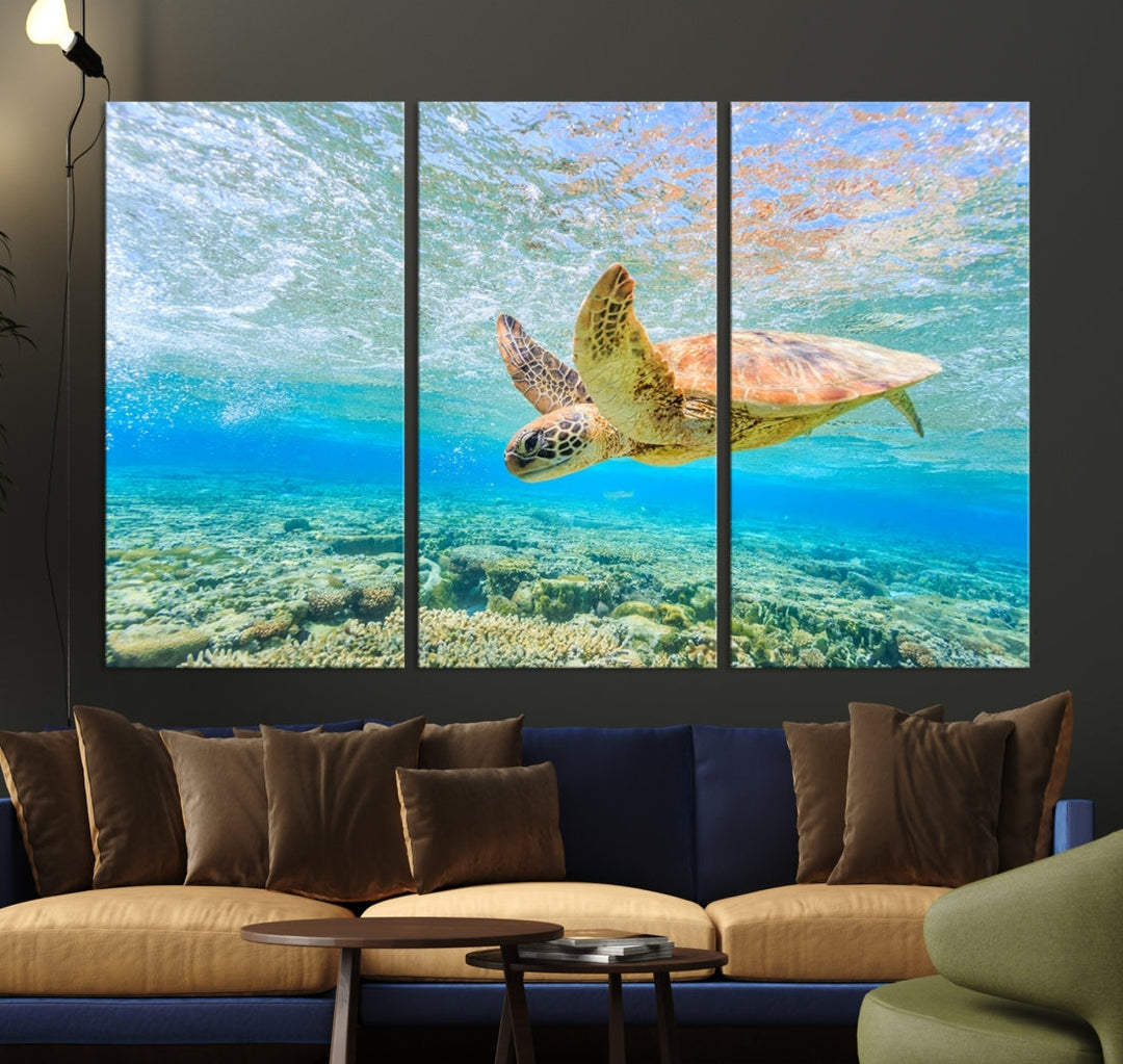 The "Sea Turtle Wall Art Canvas Print" features an enchanting scene of a sea turtle swimming underwater over coral. Crafted on museum-quality canvas with a UV-protective coating, this piece combines elegance and durability. Enjoy free shipping with your purchase.