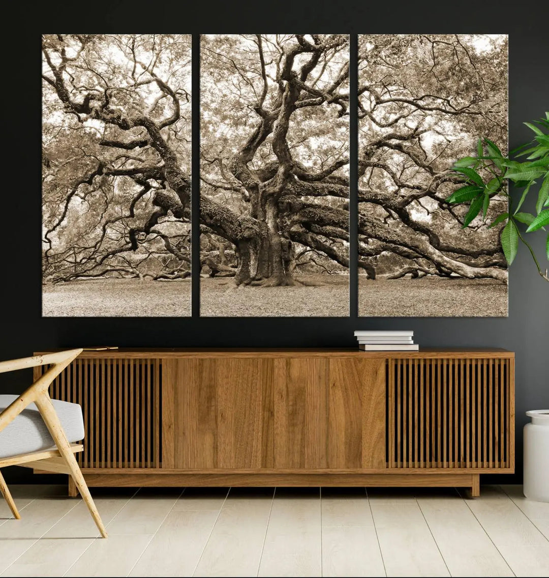 The Sepia Framed Angel Oak Tree Wall Art, a set of three-panel canvas prints, beautifully adorns the dark wall, enhancing the space with natural decor and charm.