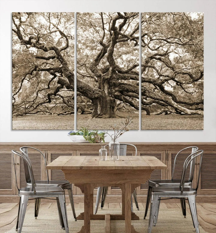 The Sepia Framed Angel Oak Tree Wall Art, a set of three-panel canvas prints, beautifully adorns the dark wall, enhancing the space with natural decor and charm.