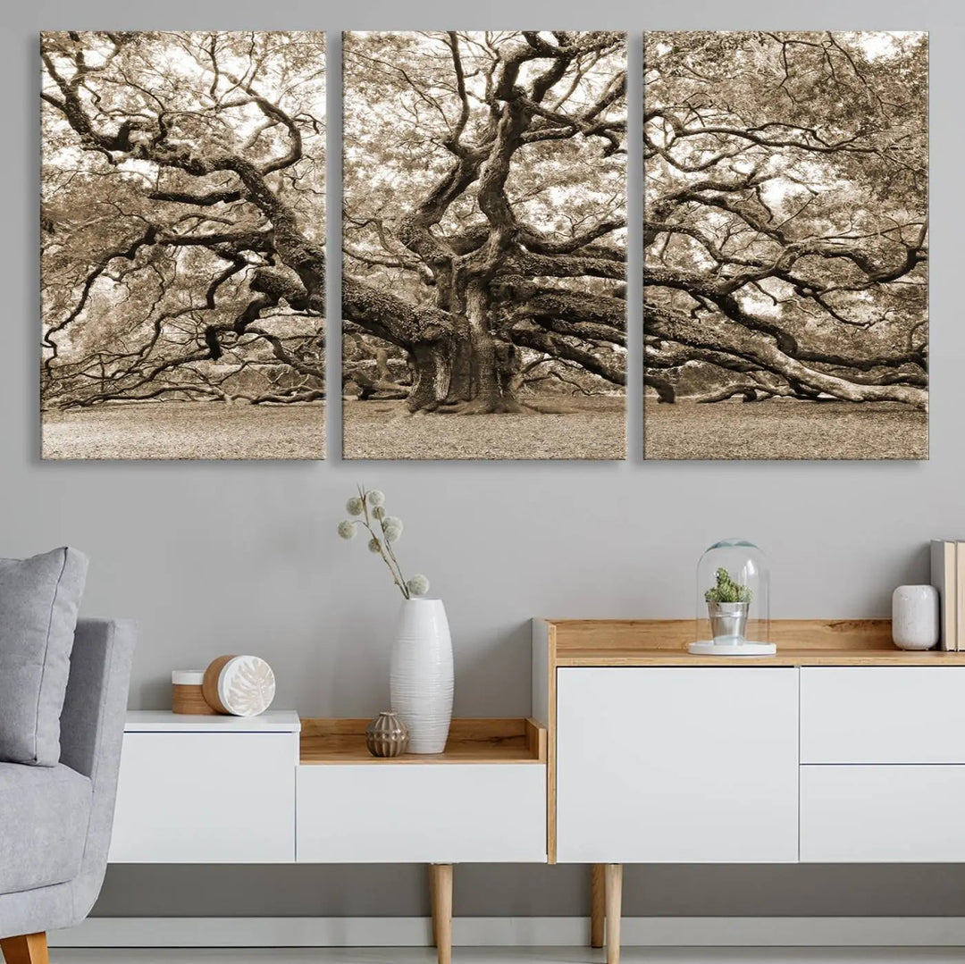 The Sepia Framed Angel Oak Tree Wall Art, a set of three-panel canvas prints, beautifully adorns the dark wall, enhancing the space with natural decor and charm.