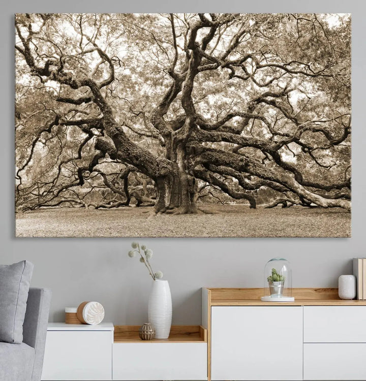 The Sepia Framed Angel Oak Tree Wall Art, a set of three-panel canvas prints, beautifully adorns the dark wall, enhancing the space with natural decor and charm.