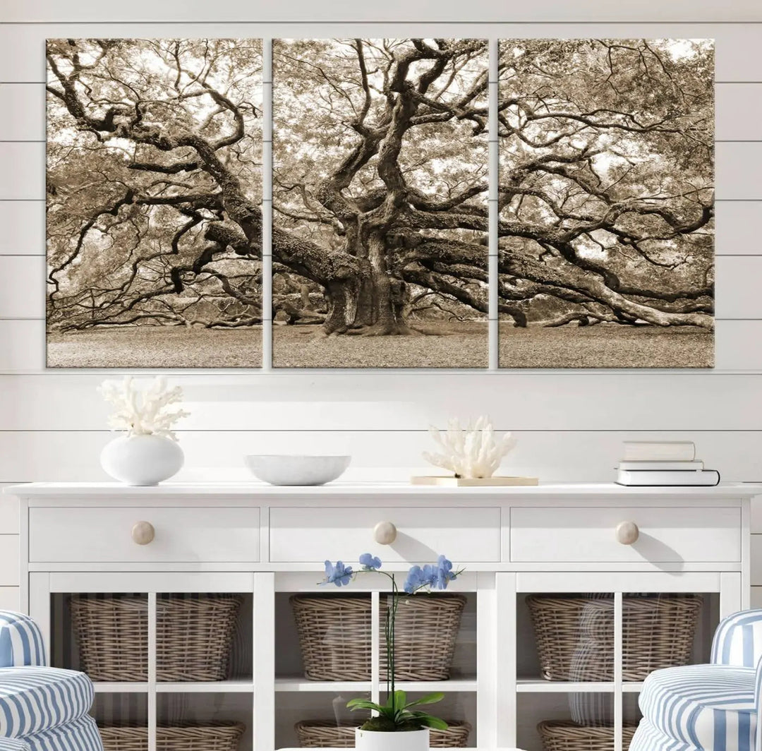 The Sepia Framed Angel Oak Tree Wall Art, a set of three-panel canvas prints, beautifully adorns the dark wall, enhancing the space with natural decor and charm.