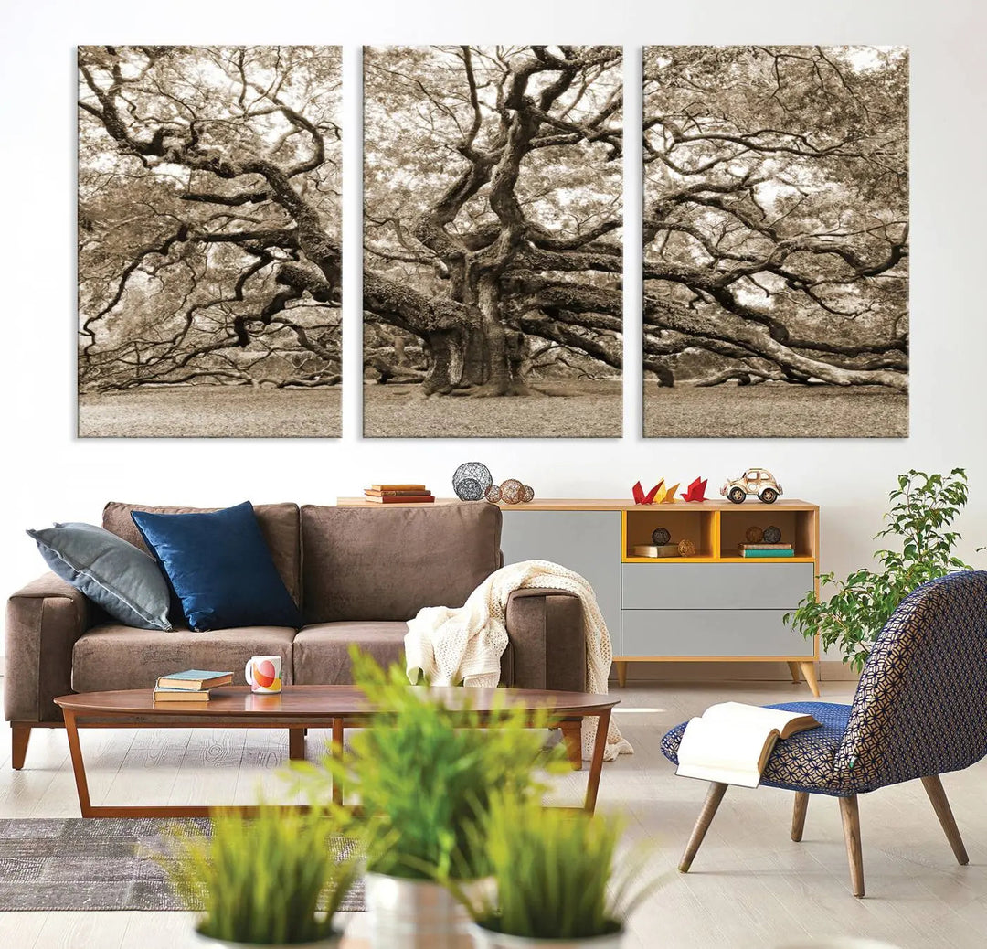 The Sepia Framed Angel Oak Tree Wall Art, a set of three-panel canvas prints, beautifully adorns the dark wall, enhancing the space with natural decor and charm.