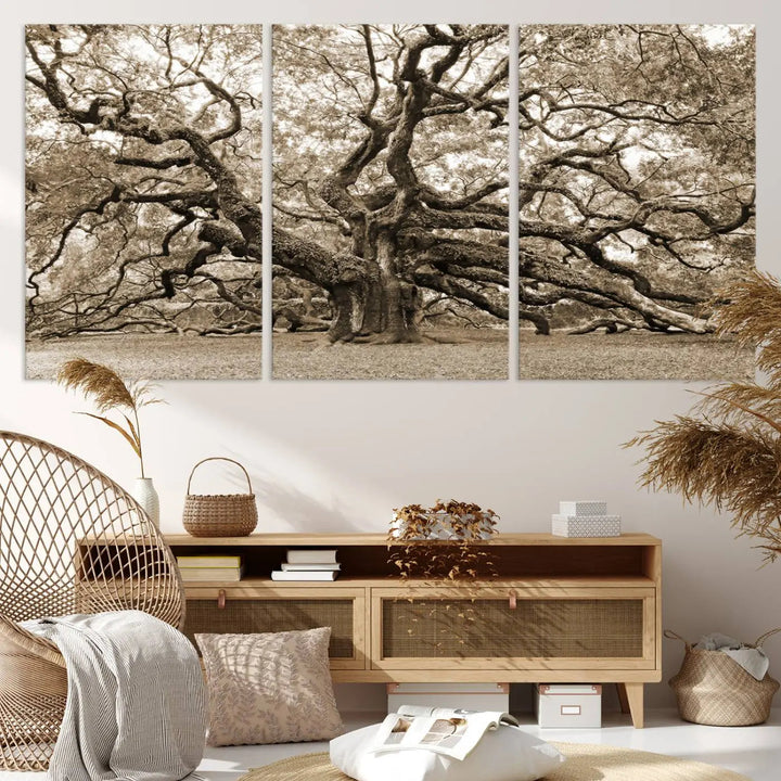 The Sepia Framed Angel Oak Tree Wall Art, a set of three-panel canvas prints, beautifully adorns the dark wall, enhancing the space with natural decor and charm.