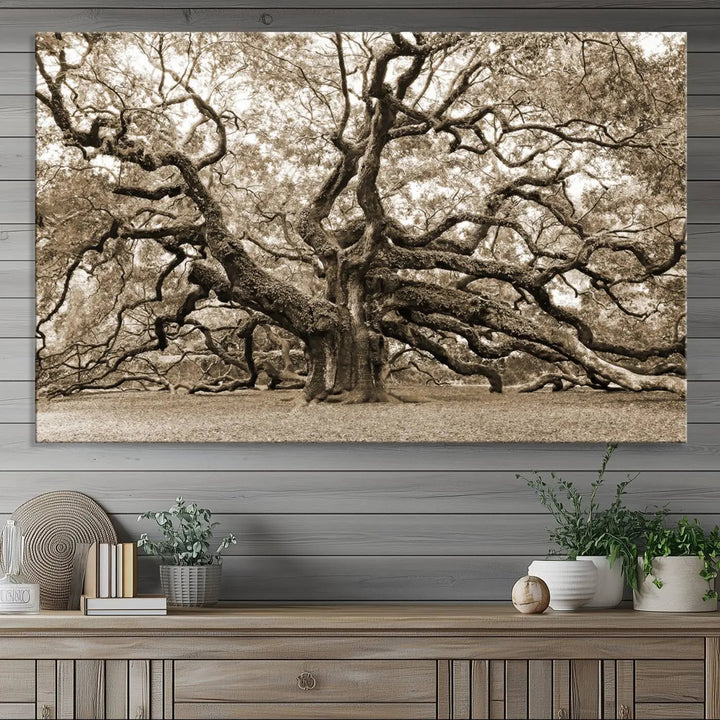 The Sepia Framed Angel Oak Tree Wall Art, a set of three-panel canvas prints, beautifully adorns the dark wall, enhancing the space with natural decor and charm.