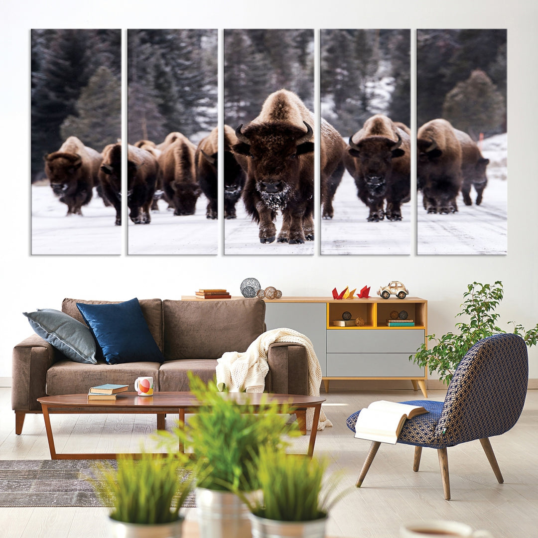 Buffalo Wall Art Canvas Print, Bison Wall Art Canvas Print