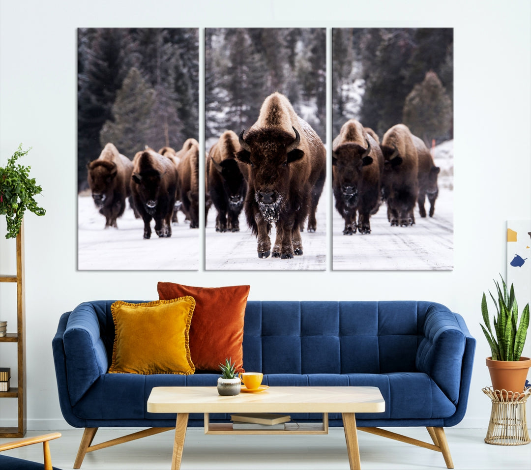 Buffalo Wall Art Canvas Print, Bison Wall Art Canvas Print