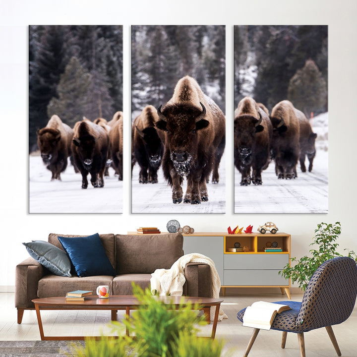 Buffalo Wall Art Canvas Print, Bison Wall Art Canvas Print