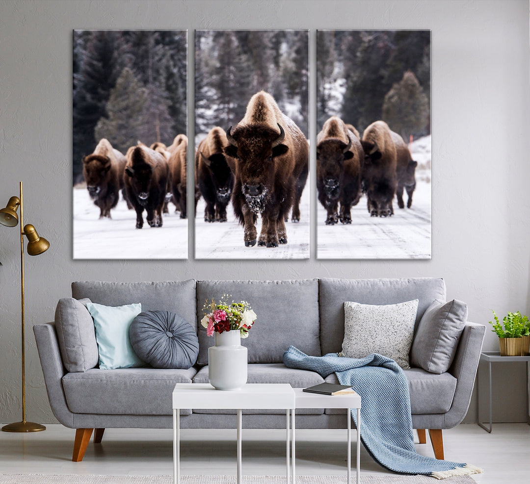 Buffalo Wall Art Canvas Print, Bison Wall Art Canvas Print