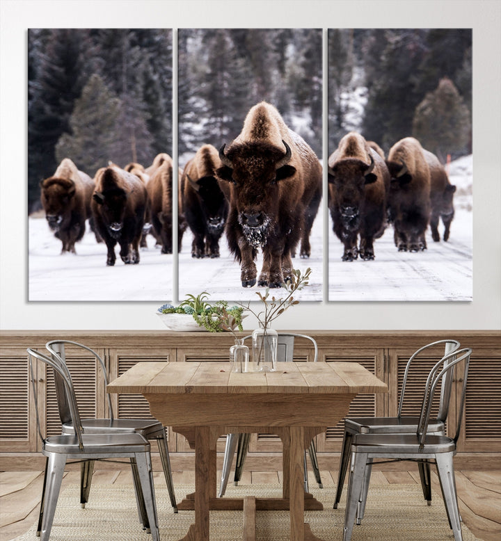 Buffalo Wall Art Canvas Print, Bison Wall Art Canvas Print