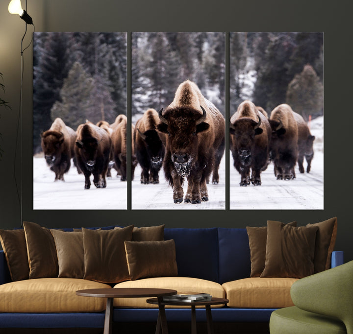 Buffalo Wall Art Canvas Print, Bison Wall Art Canvas Print